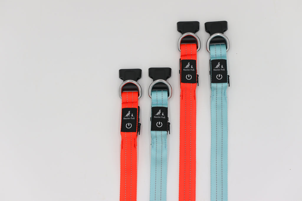 LED-Halsband