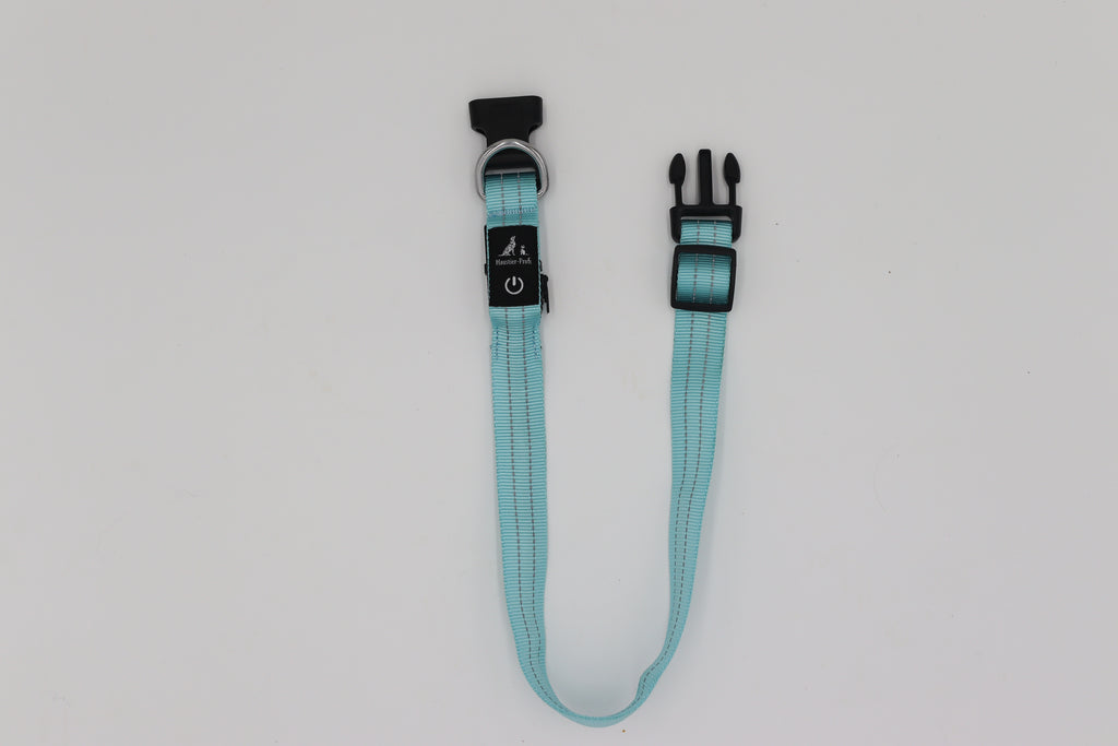 LED-Halsband