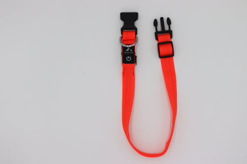 LED-Halsband